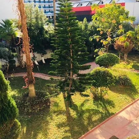 Rent Amazing Flat Apartman Avsallar